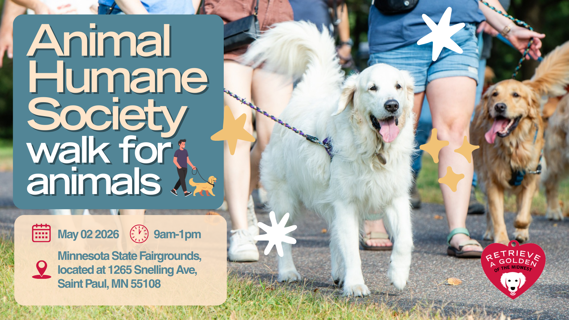 Dogs in the park, being walked, with happy faces and tongues hanging out happily.
